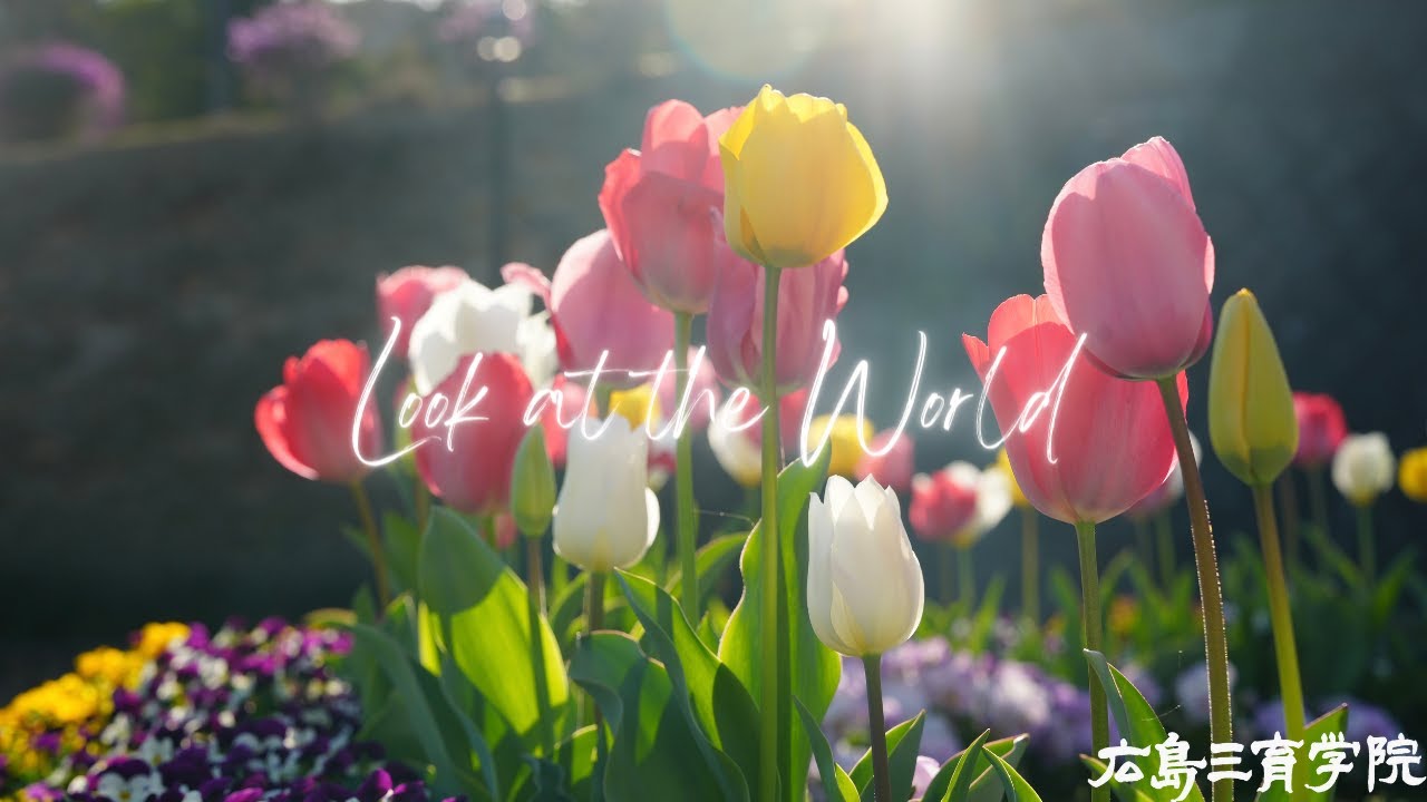 Look at the World