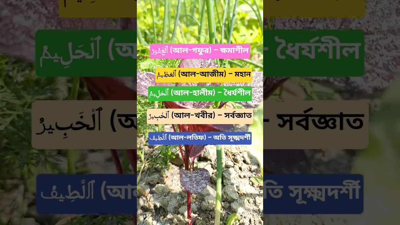 আল্লাহ তোমার এই পবিত্র নাম কি সকলেই পড়তে চাই #islam #islamicstatus #shorts #viral