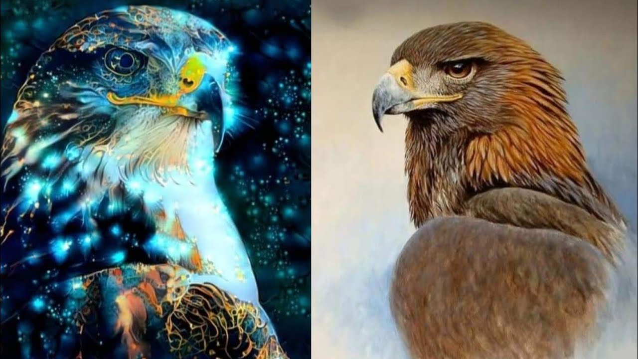 Le Faucon🪶 Messages de votre animal totem 💞 lisarcamela.com