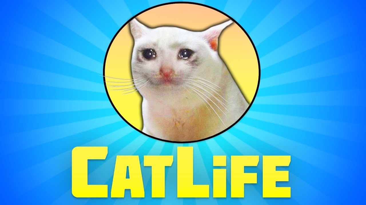 Bitlife Made A Catlife Game And It Is WILD