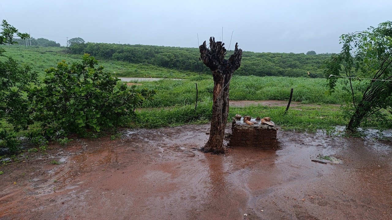 MANHÃ DE MUITA CHUVA NO MEU SÍTIO 