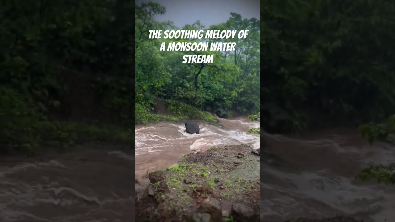The soothing melody of a monsoon water stream 