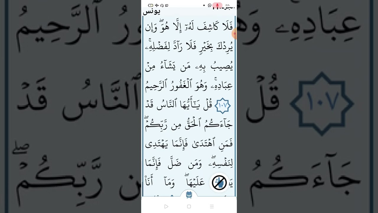 آخر سورة يونس صفحه (٢٢١)