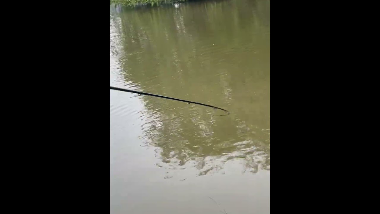 The Only Way Is Fishing 🎣 The big mirror that nearly pulled my rod in the water 😂