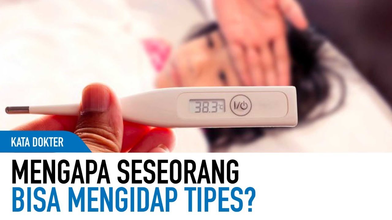 Kerja Sampai Tipes? Ini Penyebab Tipes Yang Sebenarnya | Kata Dokter