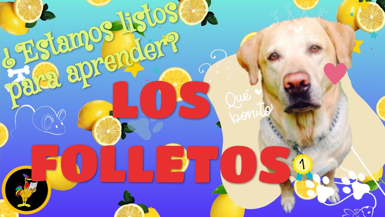 LOS FOLLETOS / EDUCACIÓN PRIMARIA