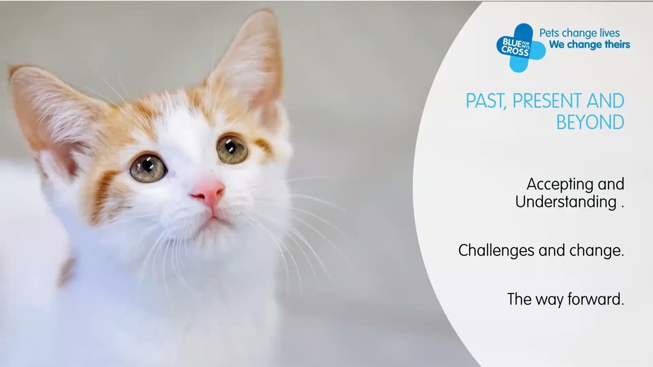 Blue Cross Pet Bereavement Support Services