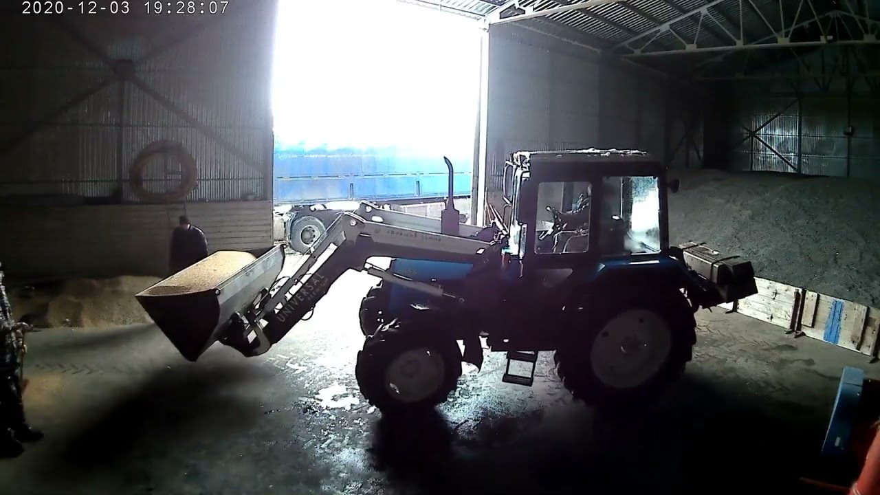 Отгрузка пшеницы. Грузим на мтз 952.2+фронтальный погрузчик большая земля