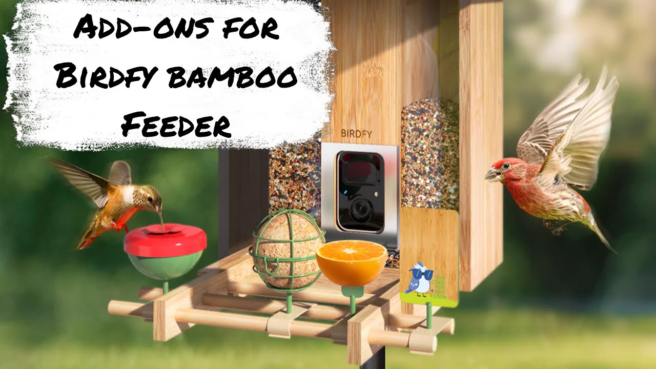 Birdfy Bamboo Smart Bird Feeder Add on Accessories