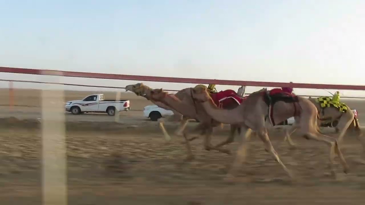 جباره. ضيف الله احمد الجهني