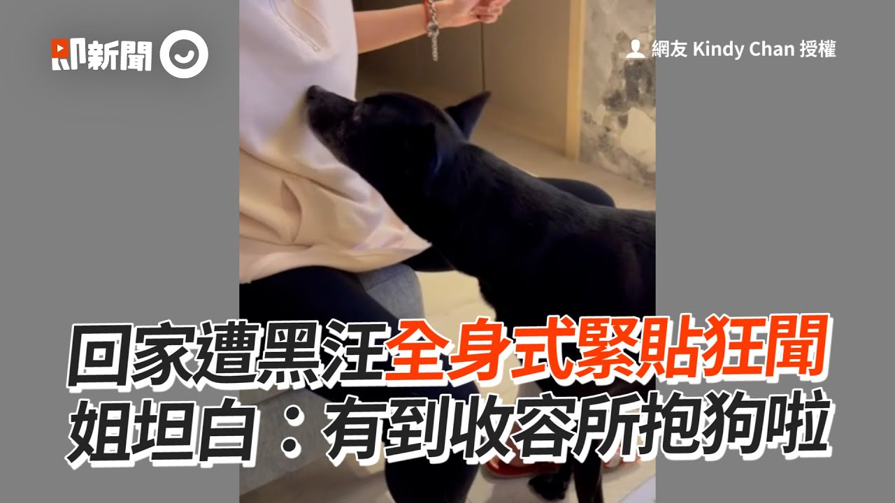 回家遭黑汪全身式緊貼狂聞　姐坦白：有到收容所抱狗啦│寵物│狗狗│Pet│