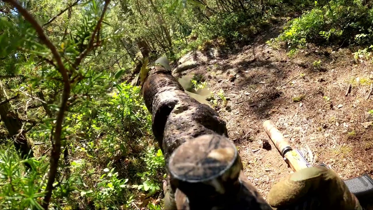 A sniper's perspective ft. custom VSR10 HPA'ed with Wolverine Bolt