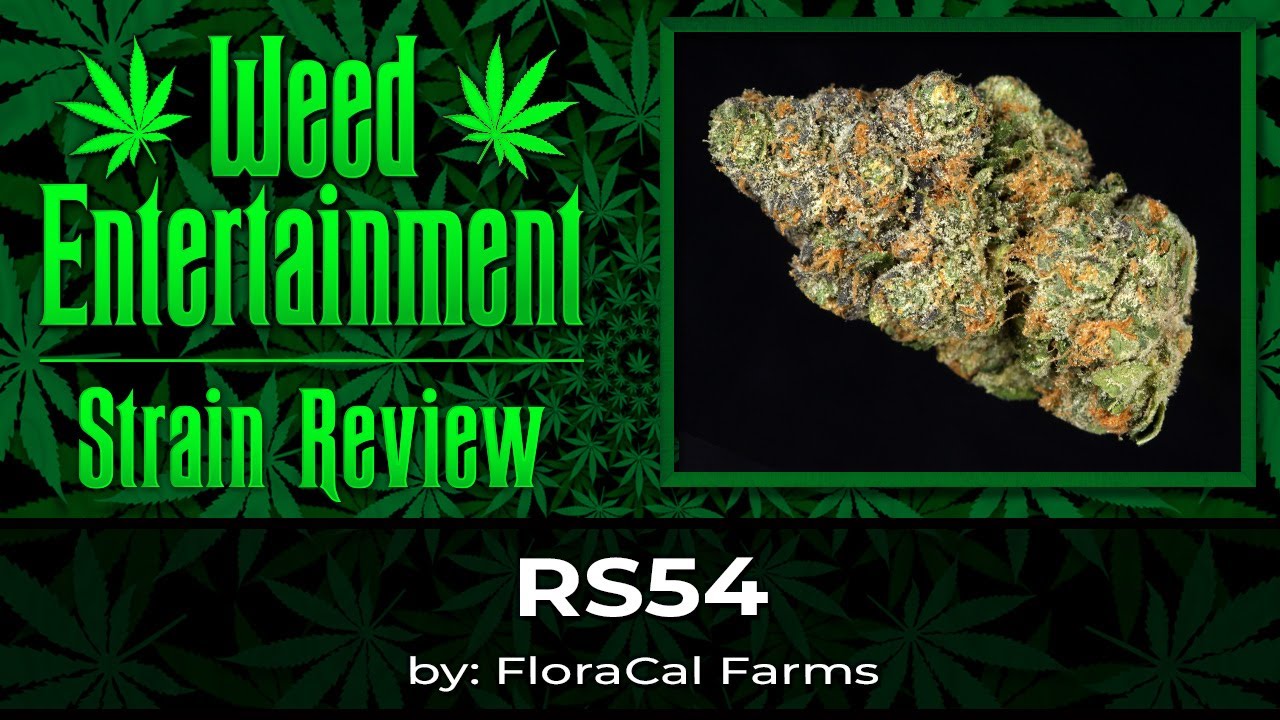 RS54 - by FloraCal Farms - Review - January 2025