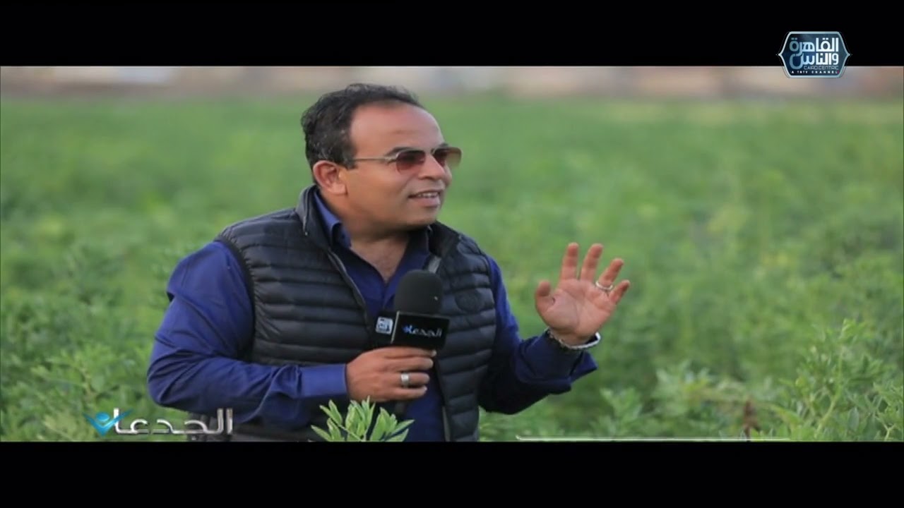 م.مجدى فهمى:نجحت فى مقاومة الهالوك داخل الأرض عن طريق خلطة المعاملات الزراعية