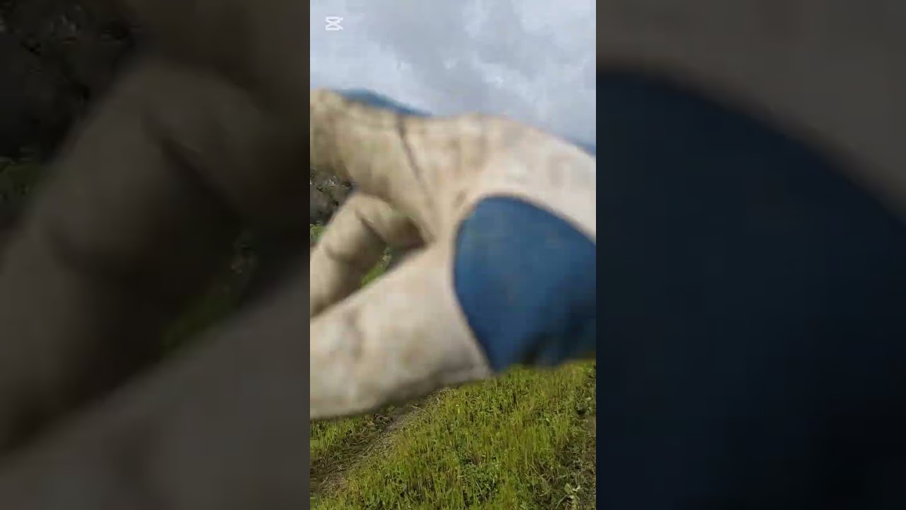 Ho Acquistato un oliveto trascurato. E ora si rimetterlo in carreggiata 👊💪