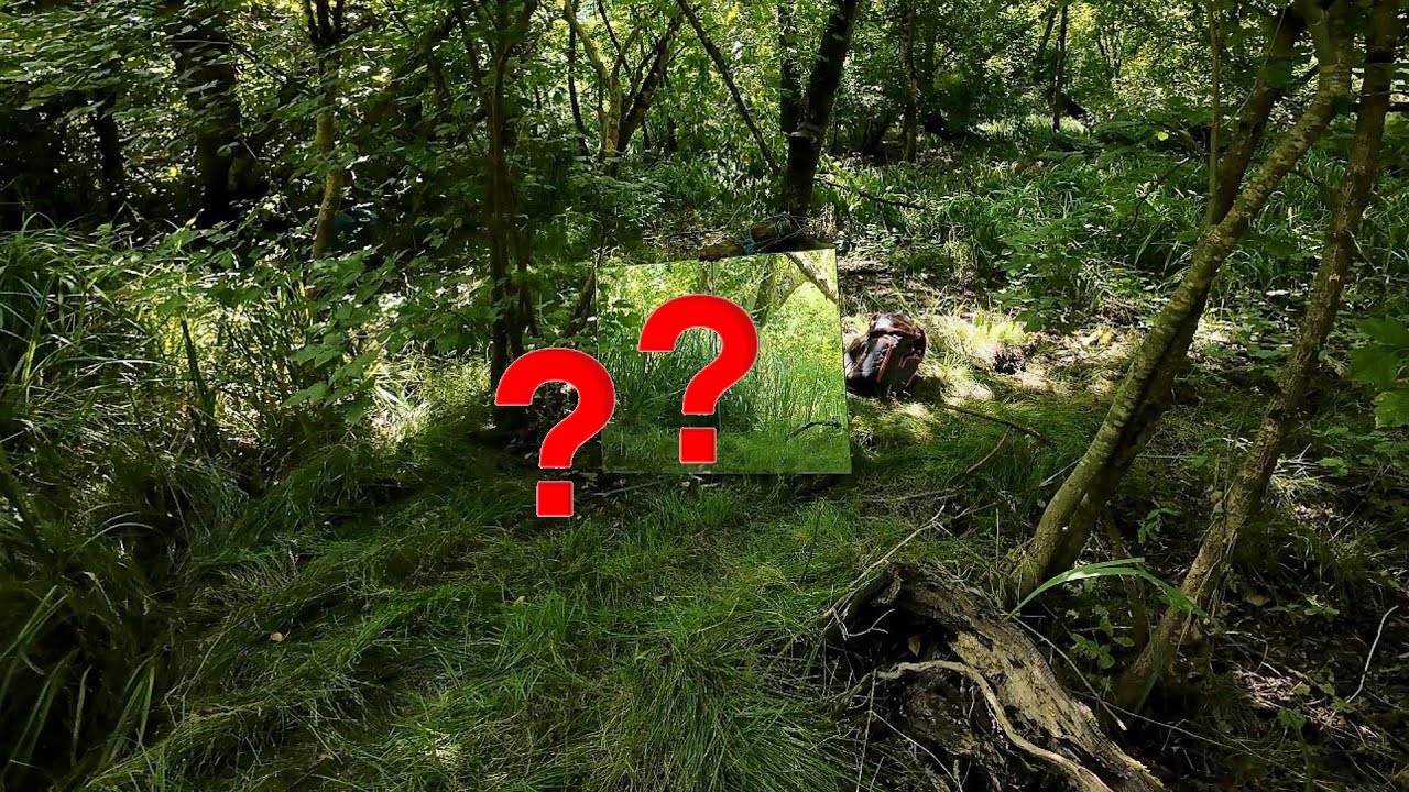 Caméra de chasse : Une apparition aussi improbable qu’inattendue 😲