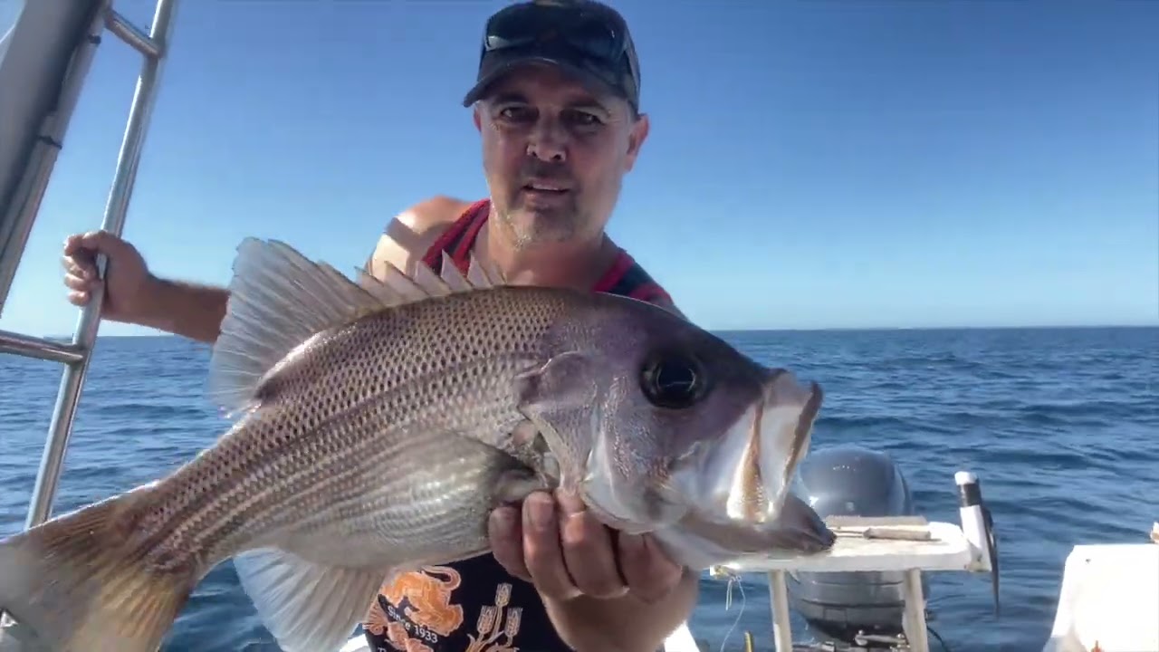 Caloundra wide arvy sesh