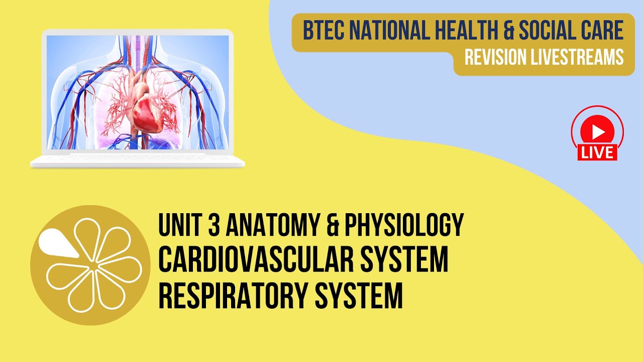 Cardiovascular & Respiratory Systems | Live Revision for HSC Unit 3 Anatomy & Physiology
