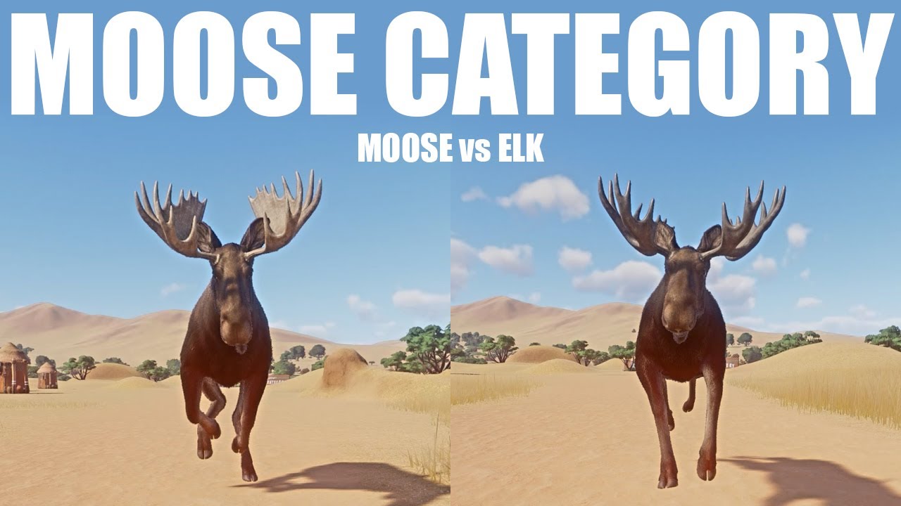 Moose Category Speed Races in Planet Zoo   Moose vs Elk