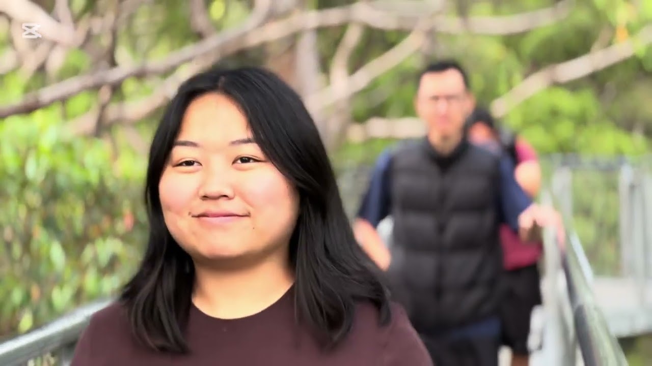 Day 2 trip to Giant tree top and wind farm the gap 