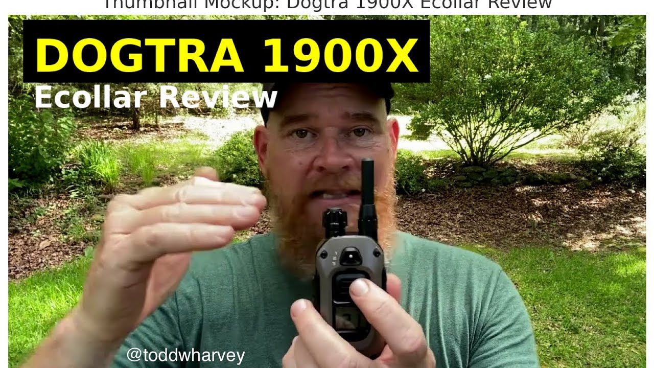 Обзор Dogtra 1900X