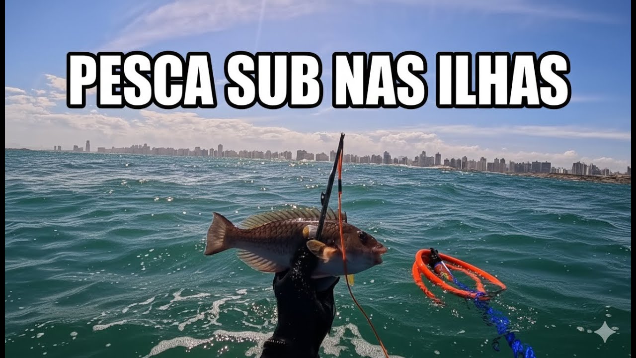 PESCANDO SUB NAS ILHAS EM VILA VELHA | PESCA SUBMARINA | PESCA COM ARPÃO #spearfishing #pesca