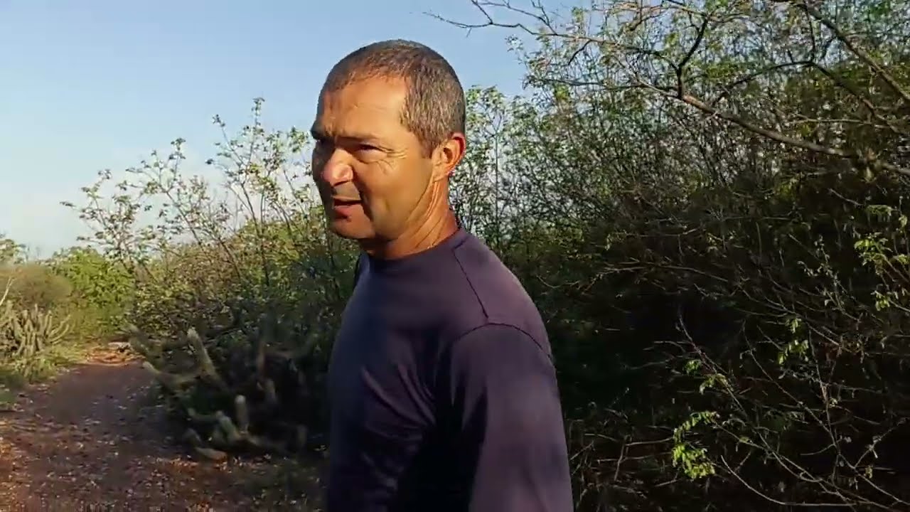 Fomos procurar umbú/ Sítio Campestre Verdejante PE 