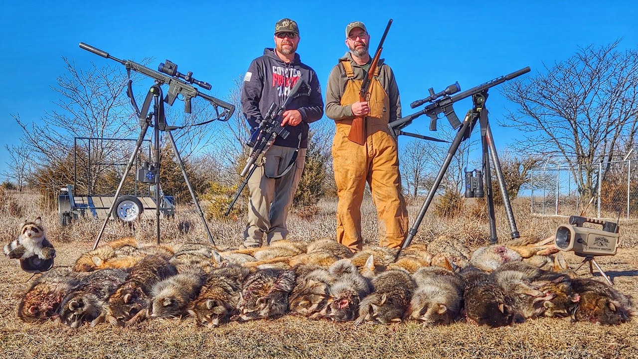 Calling Bobcats at Night - Kansas Coyote Hunting with Thermal