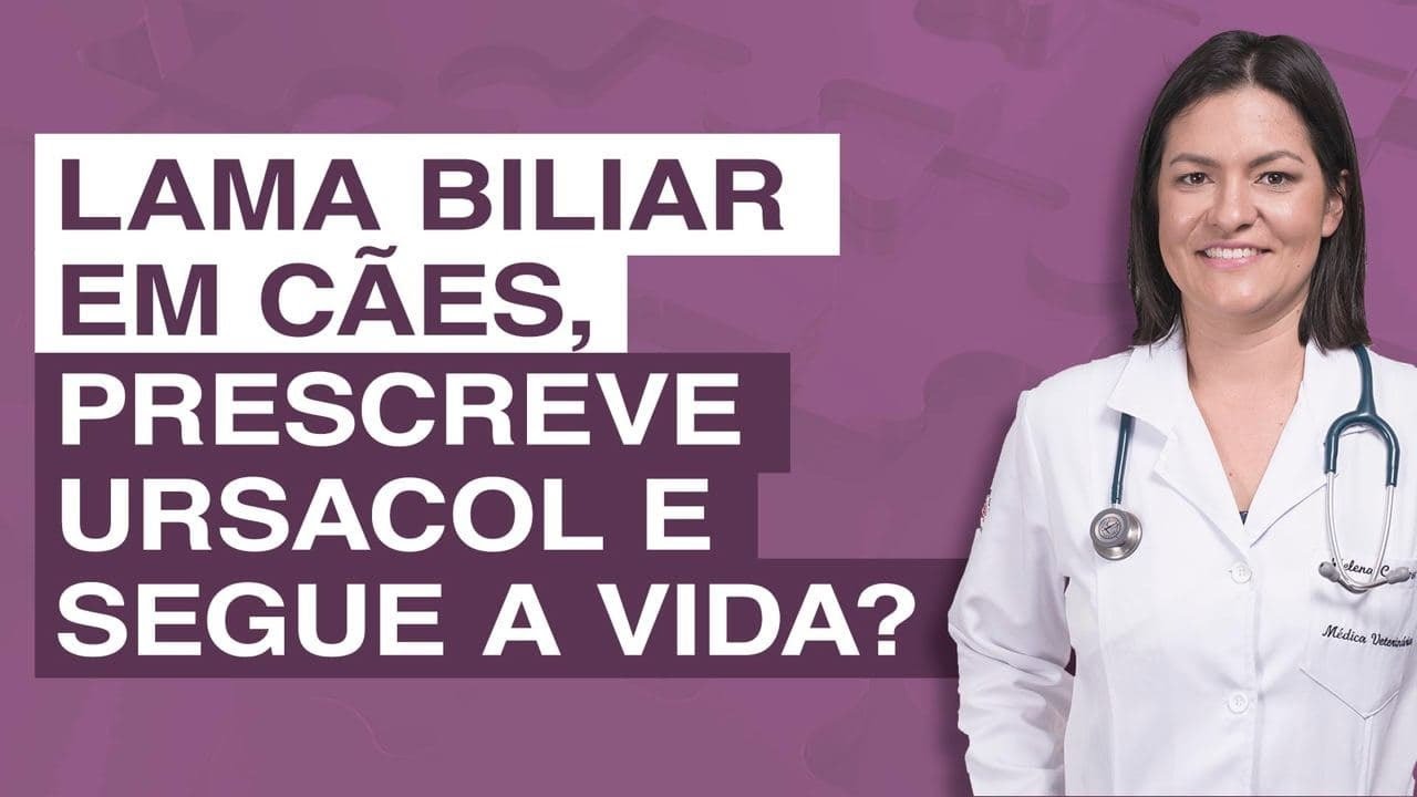 Lama biliar em cães, prescreve ursacol e segue a vida?