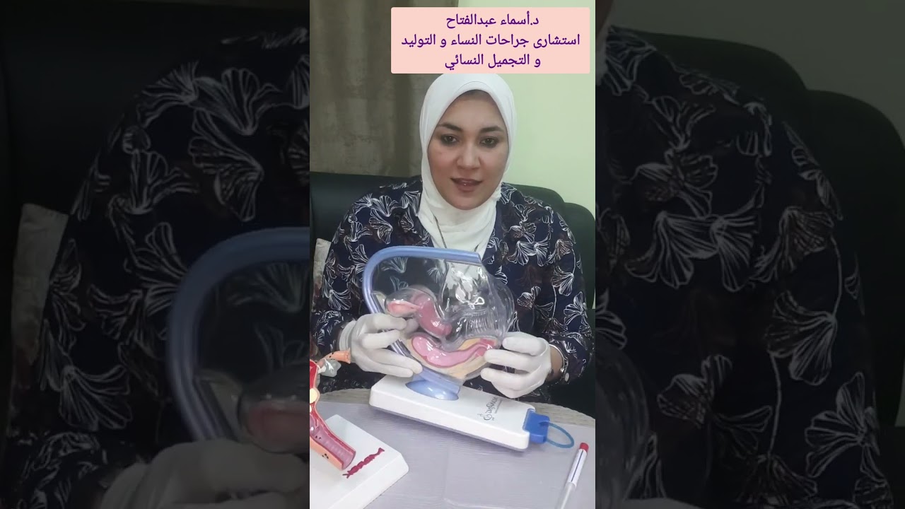 ازاي بنعمل المسحه المهبليه ؟ .. تعالوا بينا نشوف ..