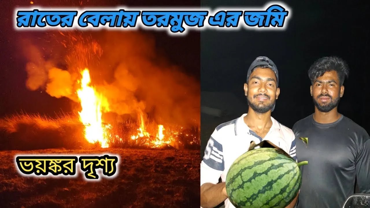 তরমুজের জমিতে গিয়ে তরমুজ খেলাম   তরমুজের জমি কেমন দেখতে    তরমুজ কোথায় চাষ হয়   Watermelon land