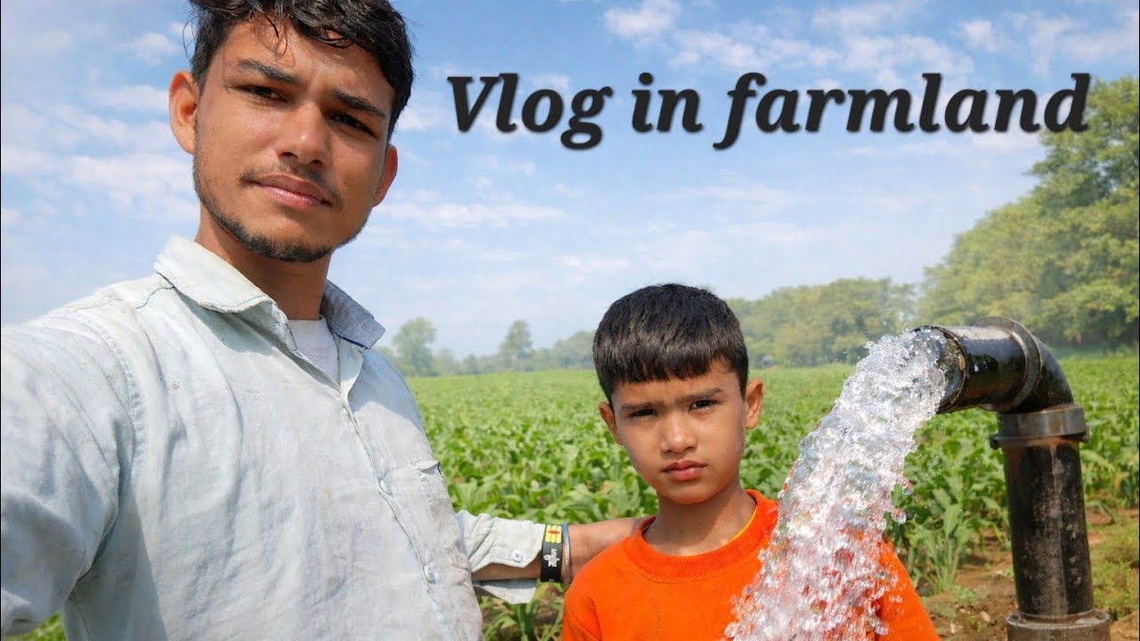 Vlog-1 ਖੇਤ ਵਿੱਚ ਪਾਣੀ!