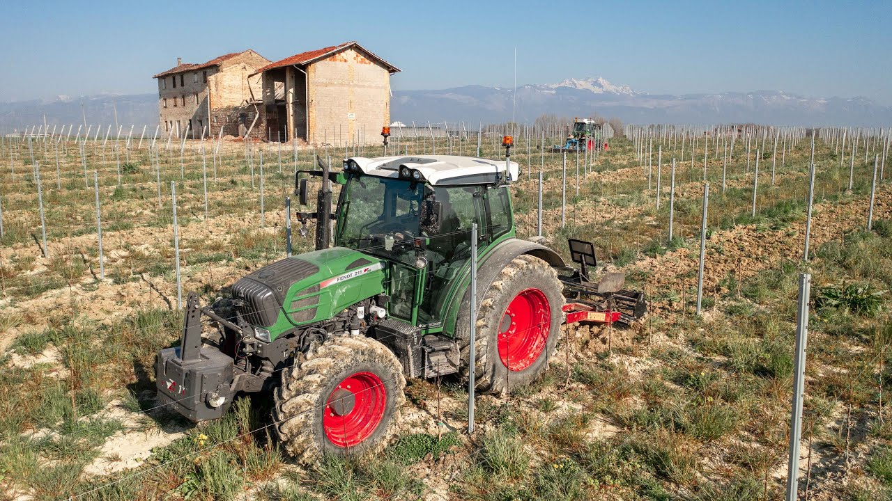 2x Fendt 211 Vario | Рыхление и боронование на винограднике 🍇