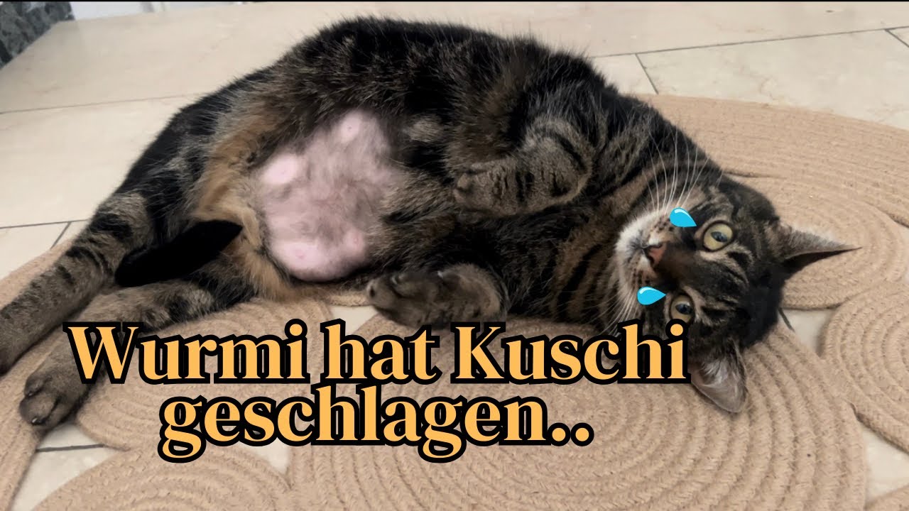 Die arme kleine Kuschimaus 😞 Papa war richtig sauer…