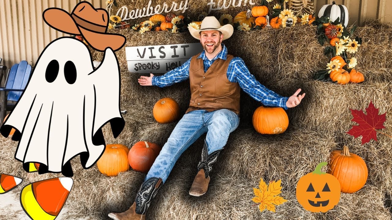Pumpkins Everywhere - Fall Fun For Kids and Halloween Farm
