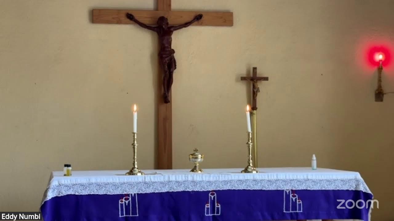 Fr Joseph Wilson MSC  Rosary 24th February 2026 Tuesday of the 1st week of Lent