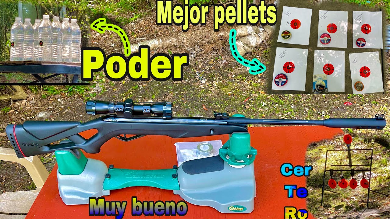 Gamo Shadow Whisper .177 o 4.5 Review + mejor Pellets (español latino)
