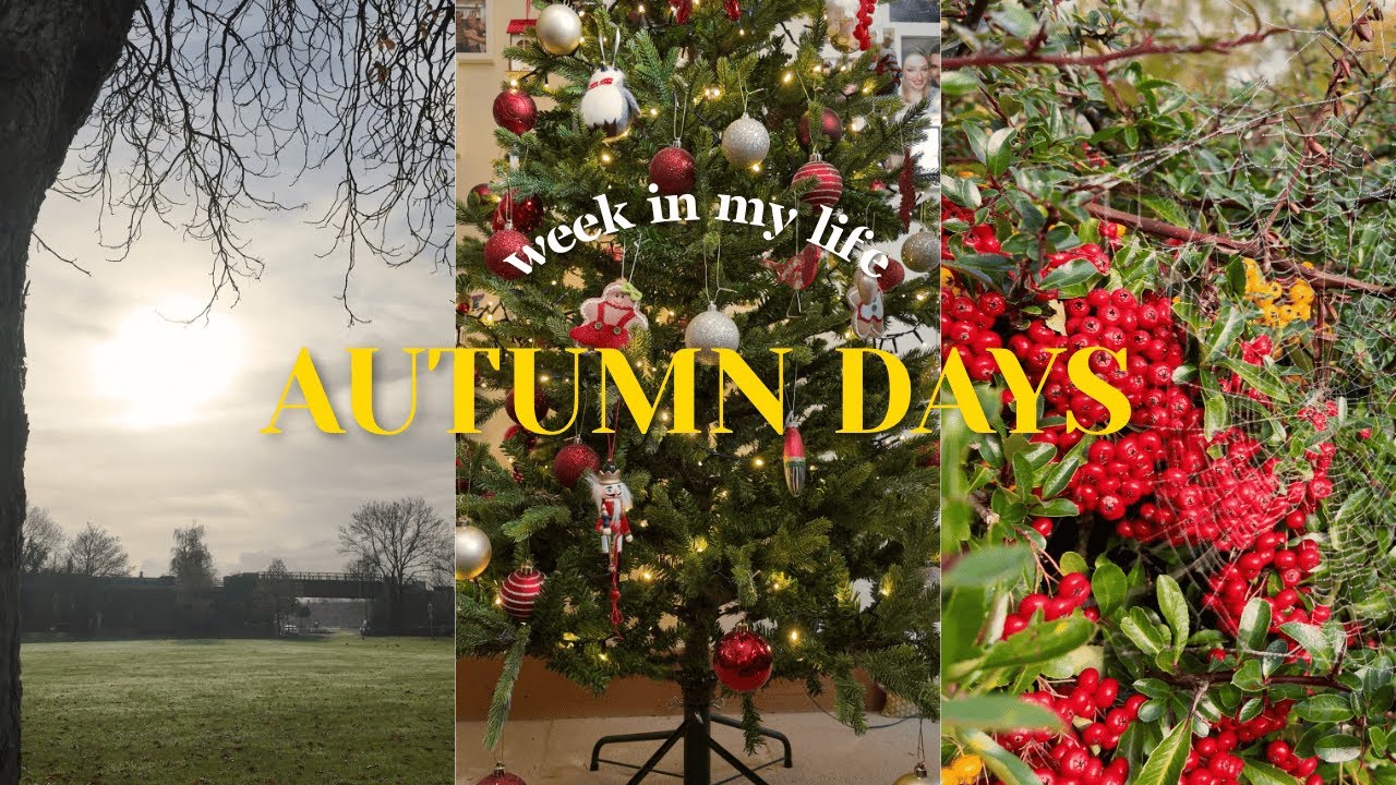 Autumn Days | Cruelty-free empties reviews, autumn walks, running and decorating for Christmas