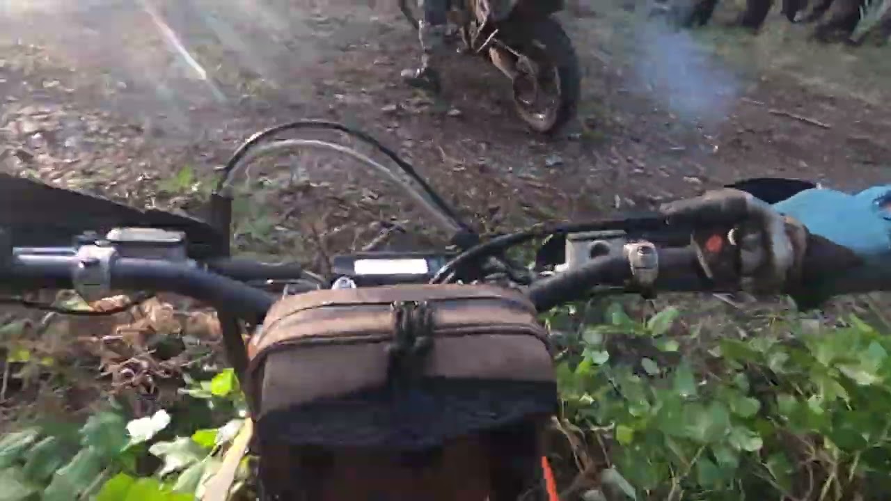 New trail swordfernville