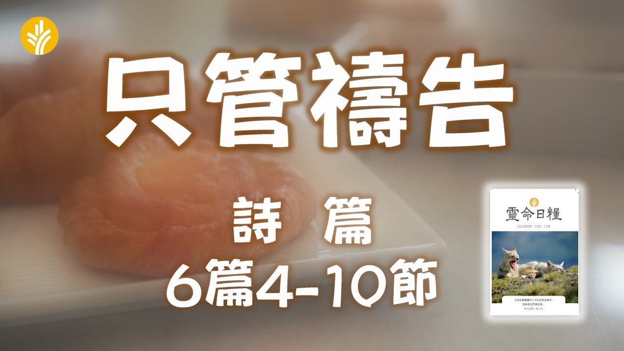 11月19日 只管禱告