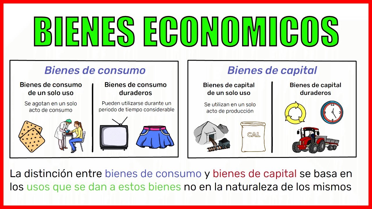 Los BIENES ECONÓMICOS y su clasificación
