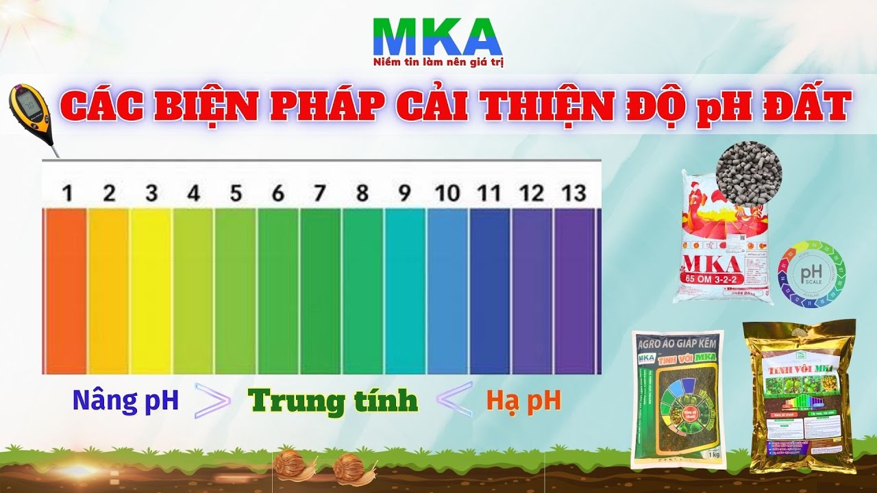 Nông dân cần biết - Các biện pháp đưa pH đất về pH trung tính để cây phát triển tốt nhất