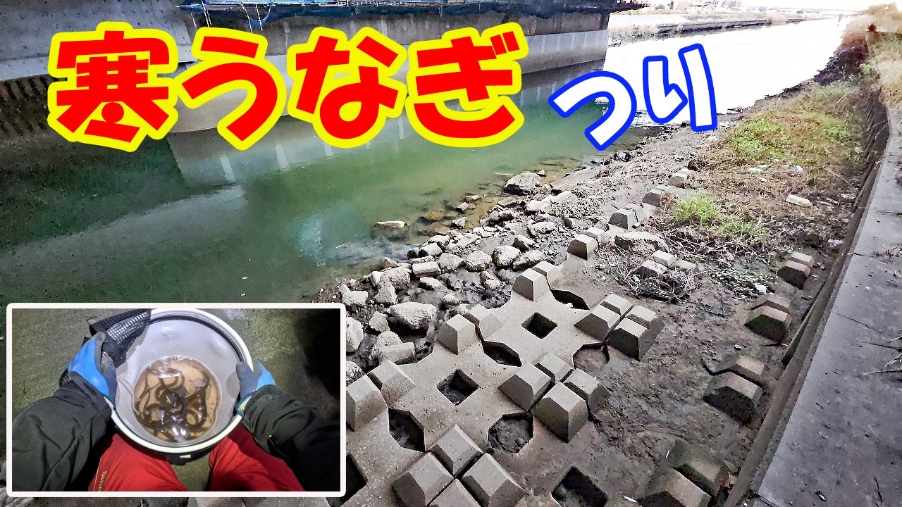 あのエサで釣れる季節になった寒うなぎ釣り　【うなぎ釣り】