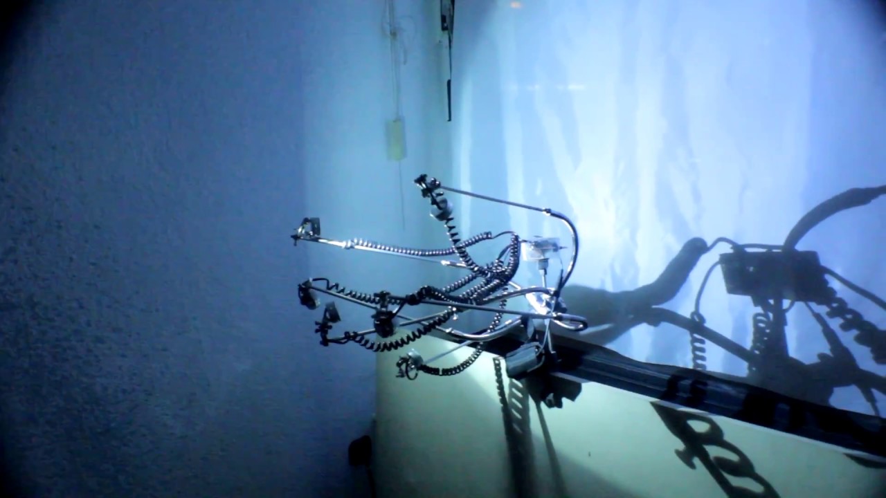 Shiny Toys 2016 Oberhausen  Kitev - Moogulator & OceanMind