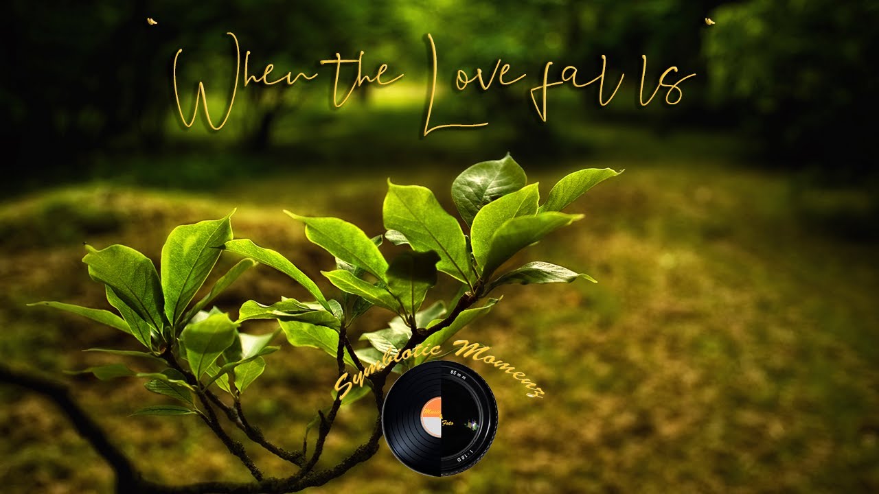 YIRUMA - When the love falls (Cover by Petra Erdtmann, flute / Stefan Schmitt photos)