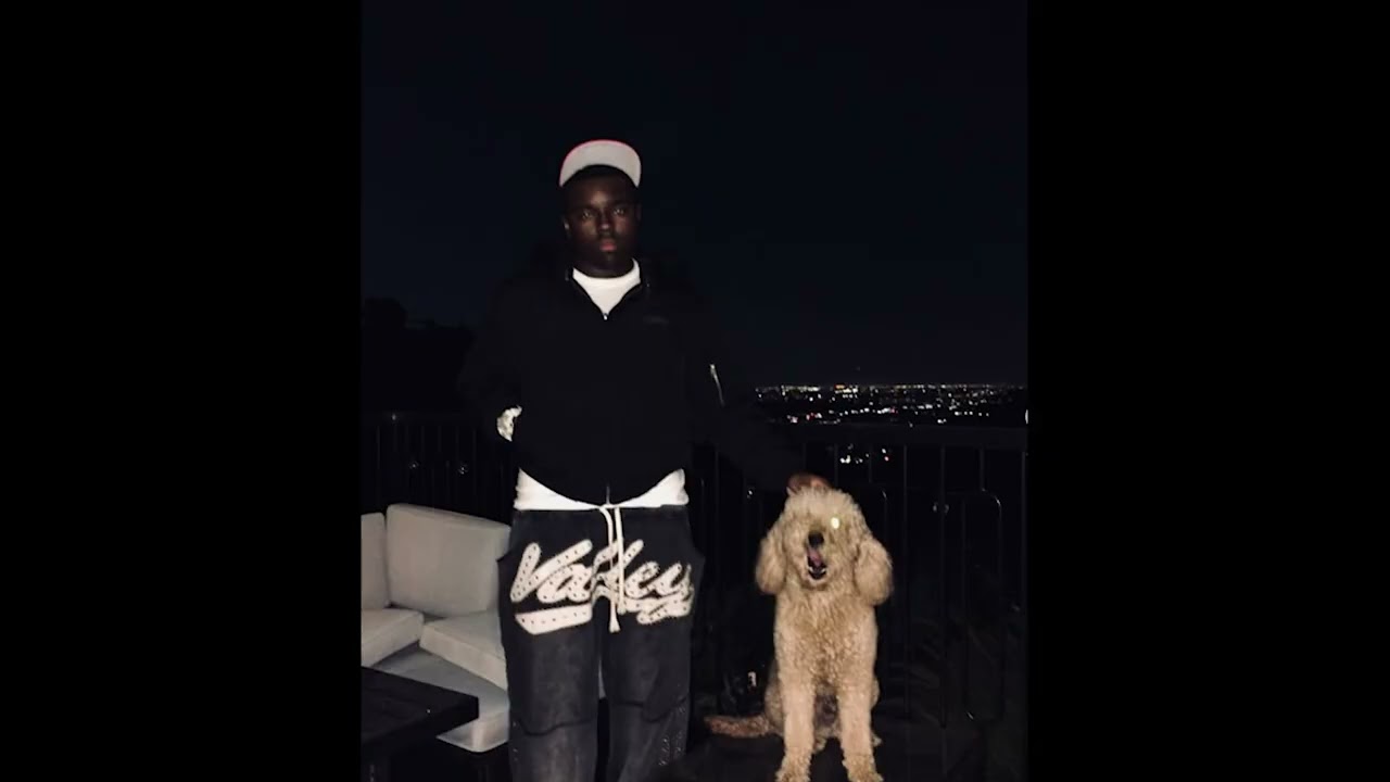 slayr x bloodluxe x rexv2 type beat - paris hilton (prod. jezhoker)