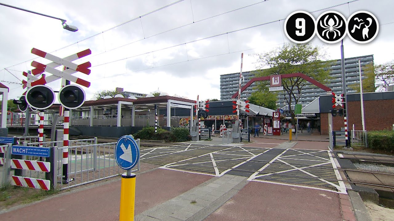 Rotterdam: Opzet vermoed bij ongeval 90-jarige fietsster