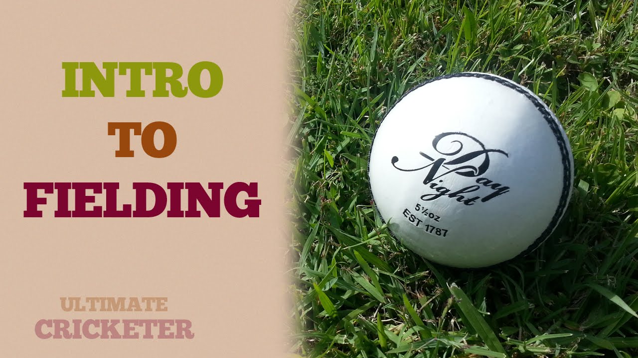 Introduction To Fielding - How To Become A Great Fielder! Tips & Tricks (Improve Your Fielding)