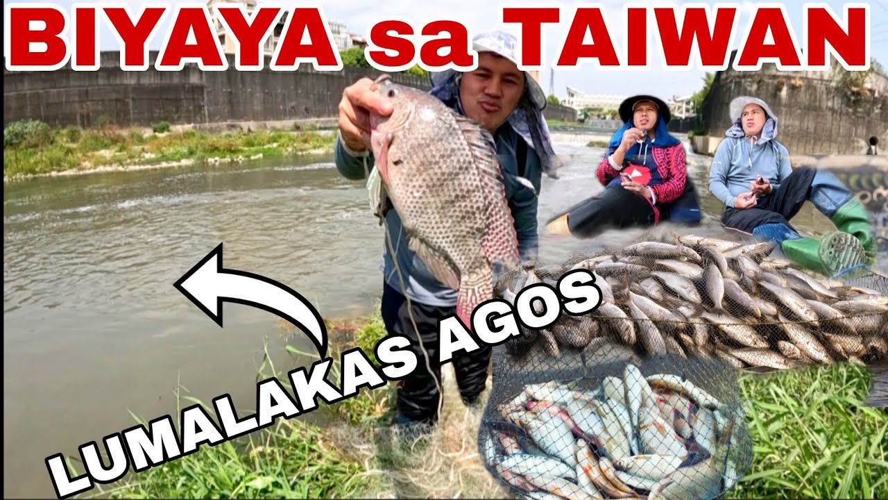 ISLA ng MALALAPAD na isda Nilusong namin