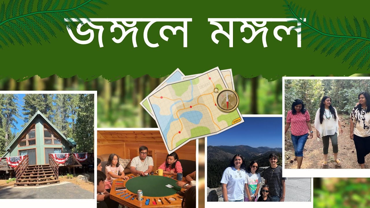 আমাদের সেরা কেবিন অভিজ্ঞতা যা আপনি মিস করতে চান না!